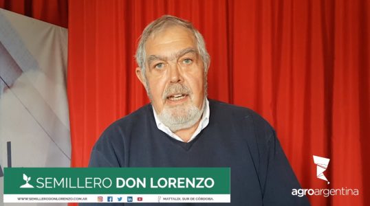 Semillero Don Lorenzo: Inicios y actualidad