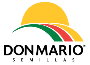 don mario nuevo