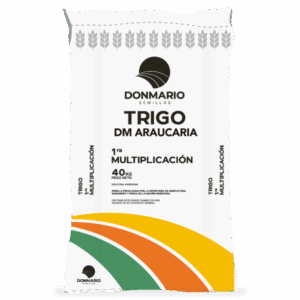 DM ARAUCARIA | Trigo Don Mario