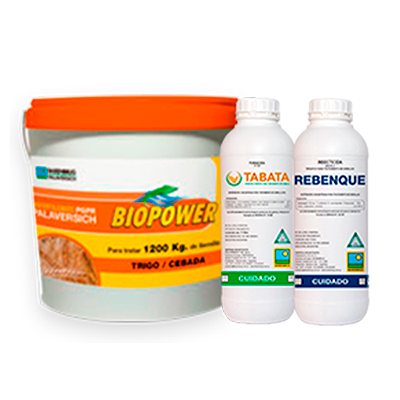 TPS TRIGO | Protección de cultivos Barenbrug