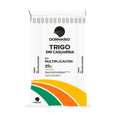 DM CASUARINA | Semilla Trigo DonMario