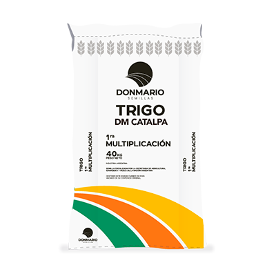 DM CATALPA | Semilla Trigo DonMario