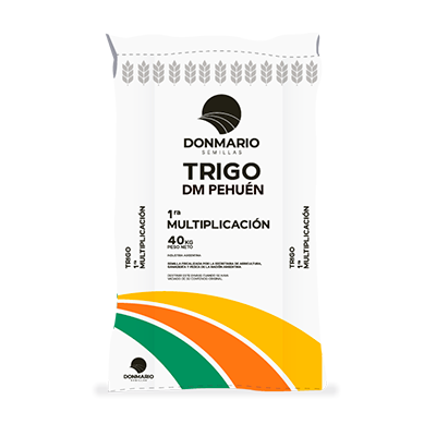 DM PEHUÉN | Semilla Trigo DonMario